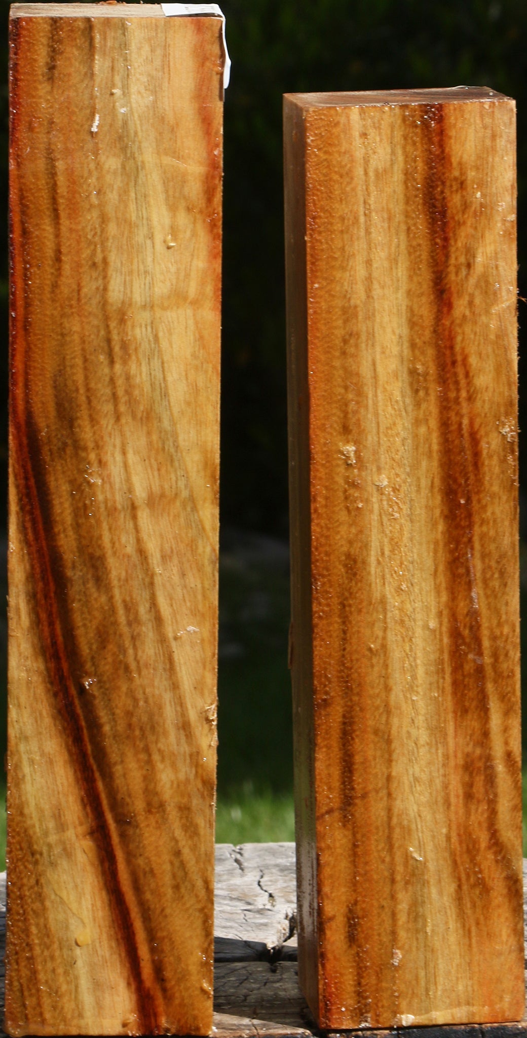 Camphor Turning Square 2 Pack