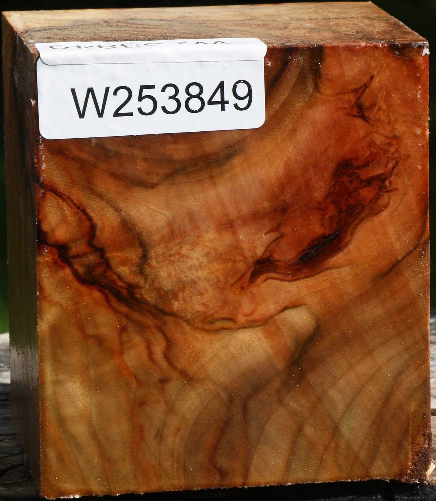 Extra Fancy Camphor Bowl Blank