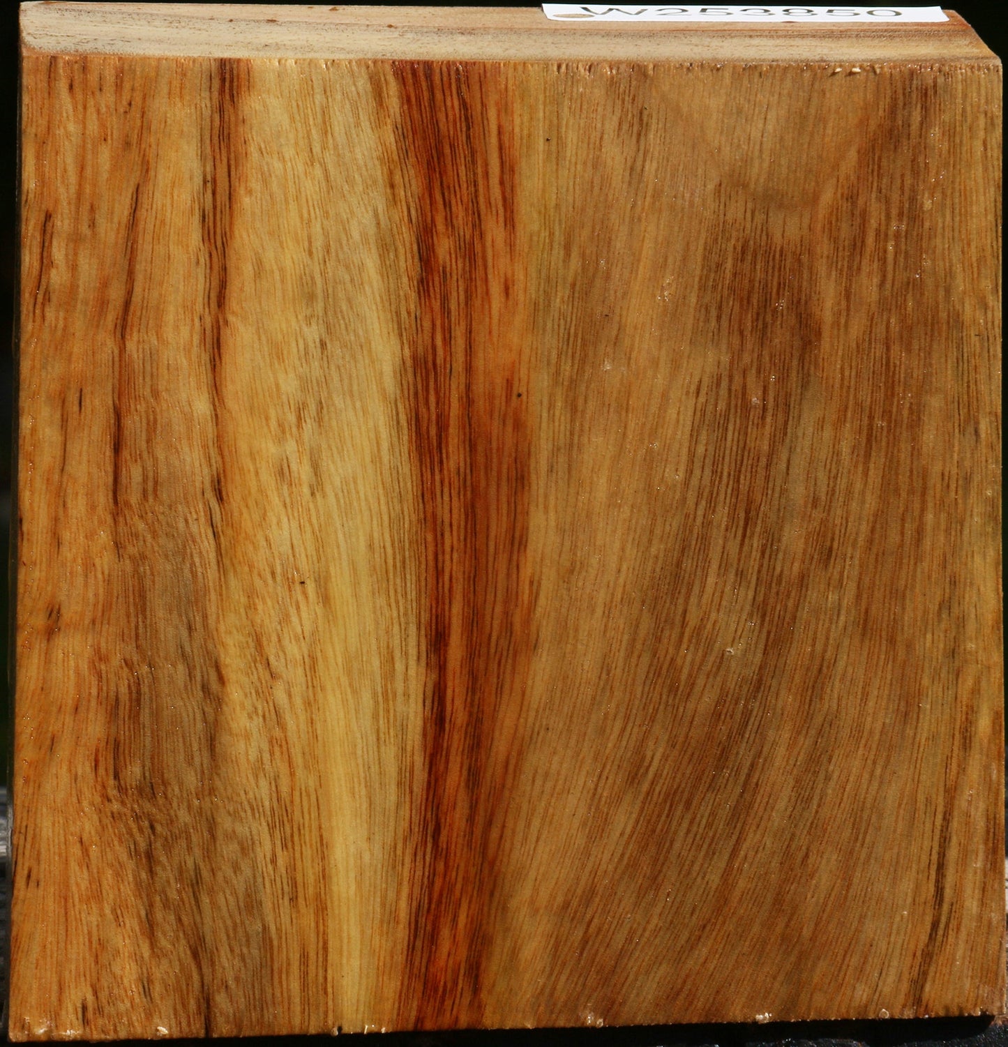 Camphor Bowl Blank