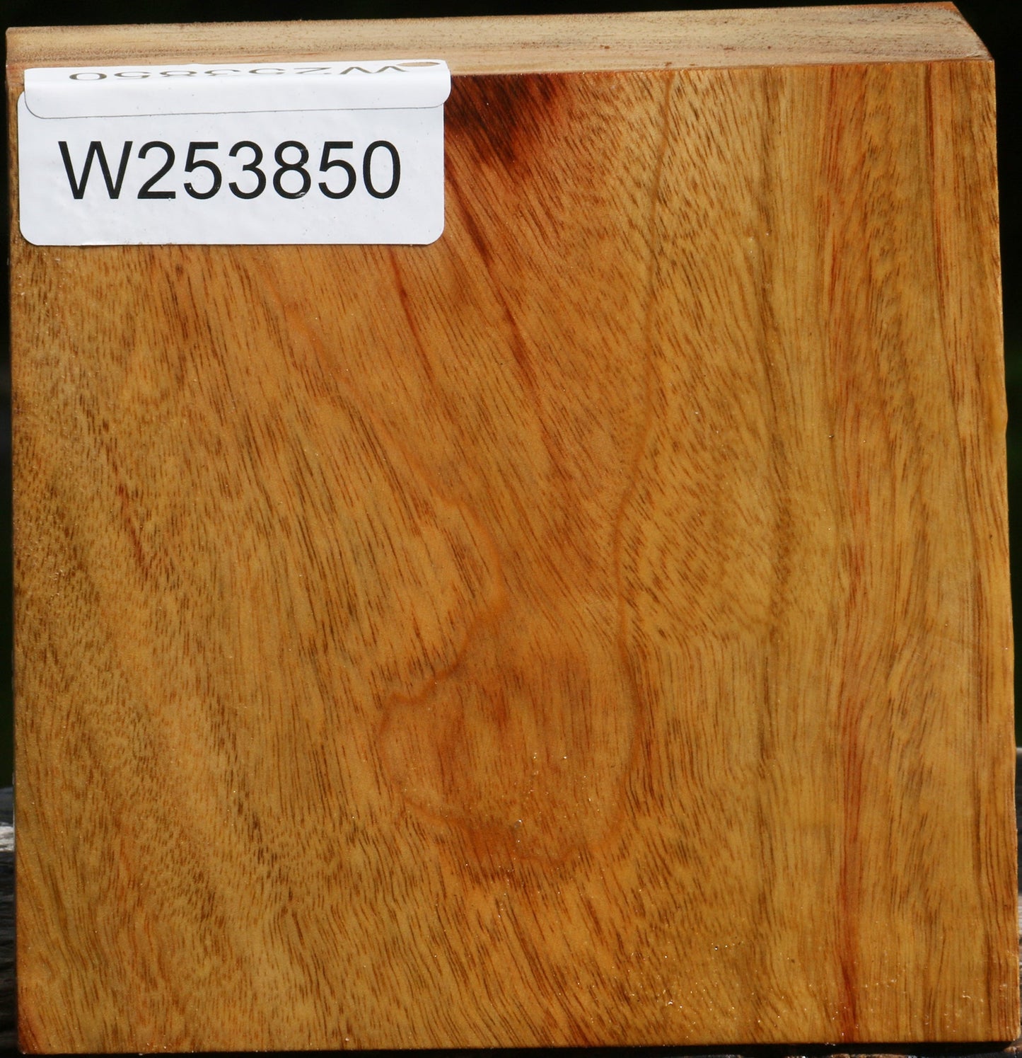 Camphor Bowl Blank