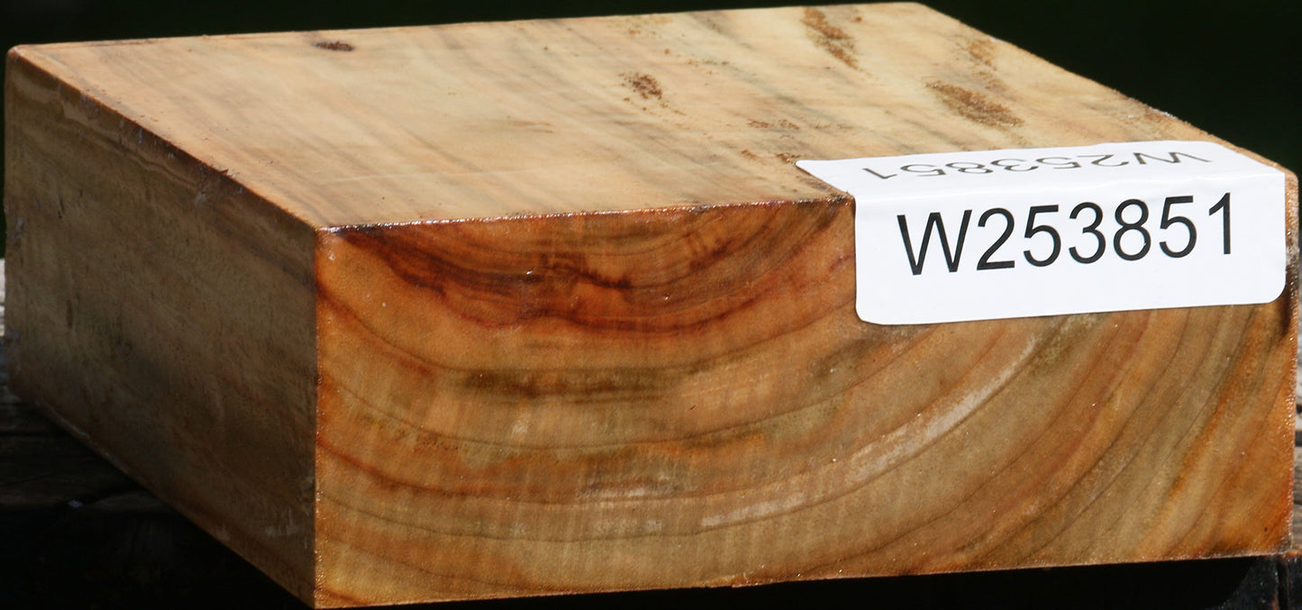 Camphor Bowl Blank