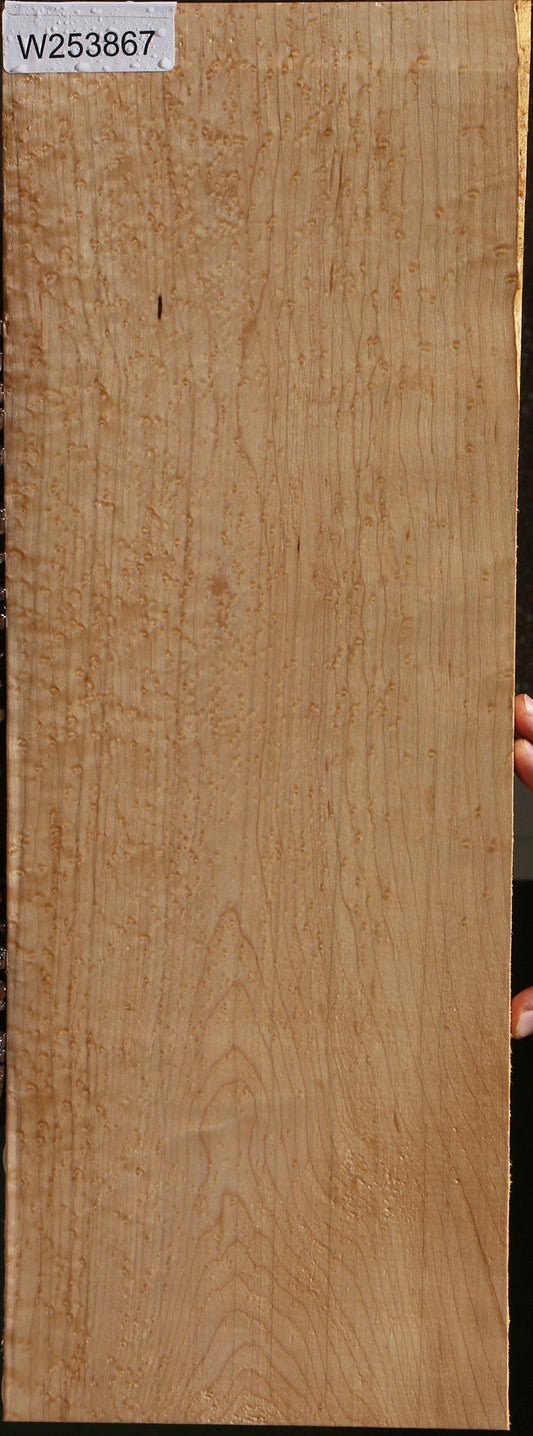 Extra Fancy Birdseye Maple Drop Top Electric Guitar Billet