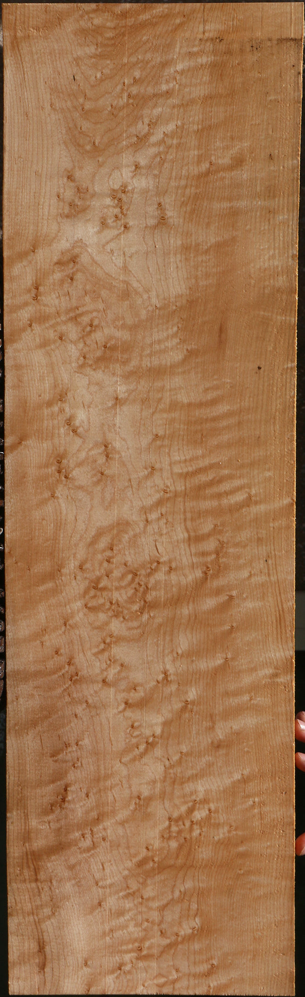 Extra Fancy Birdseye Maple Drop Top Electric Guitar Billet