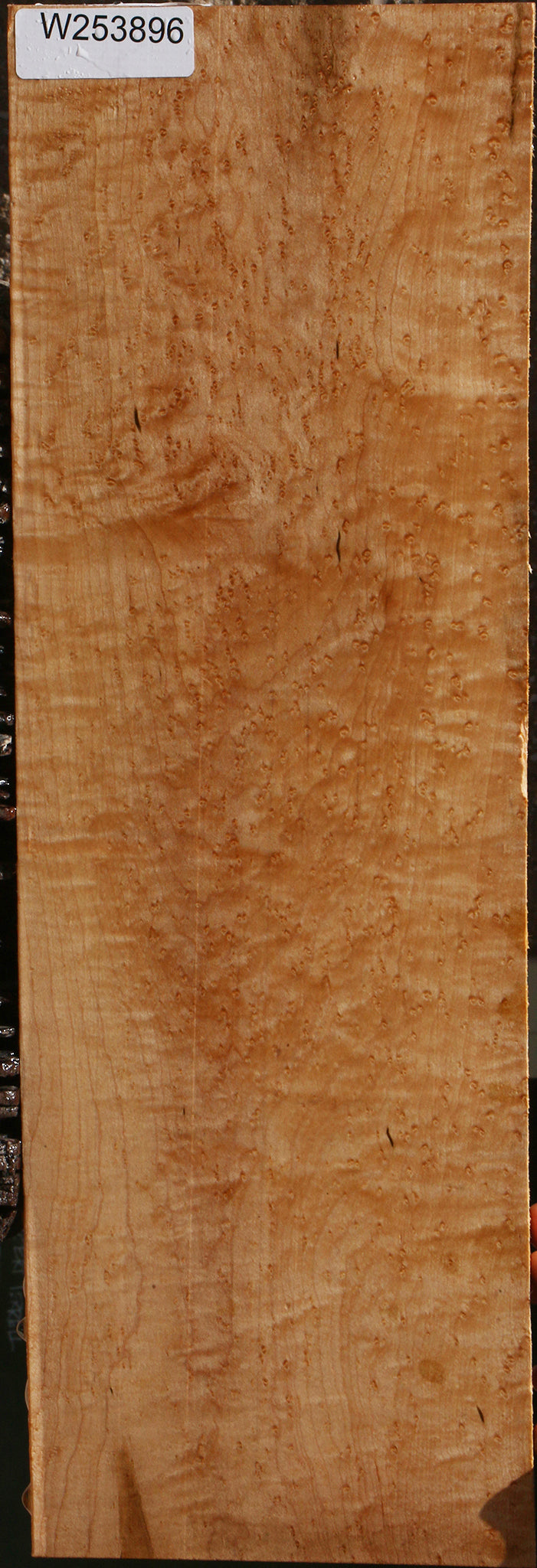Extra Fancy Birdseye Maple Drop Top Electric Guitar Billet