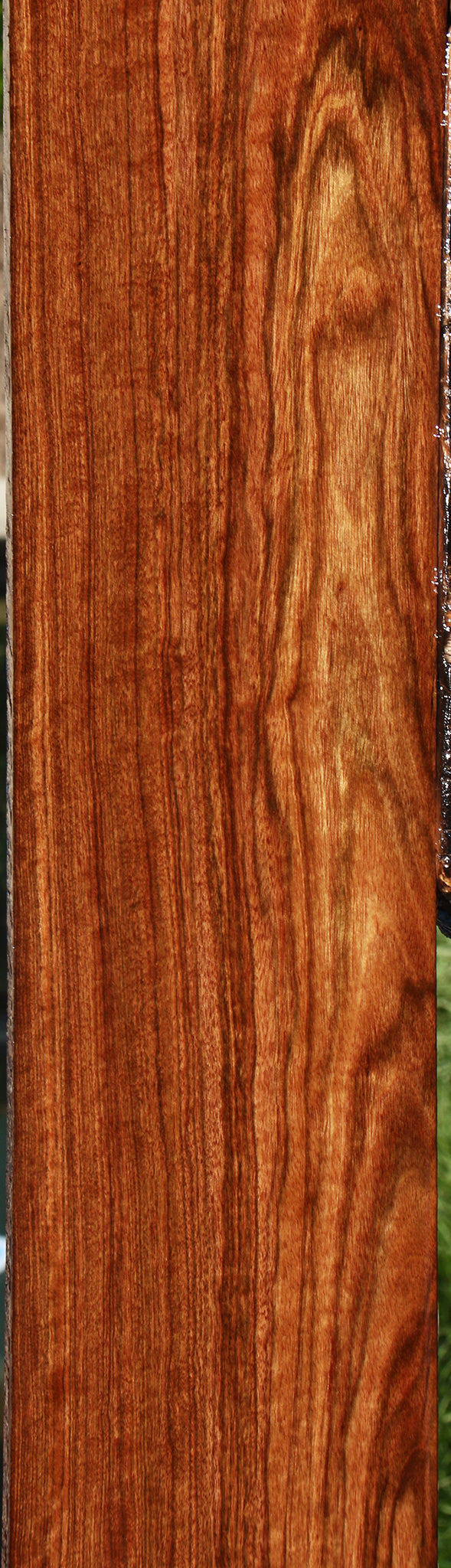 Chechen Lumber