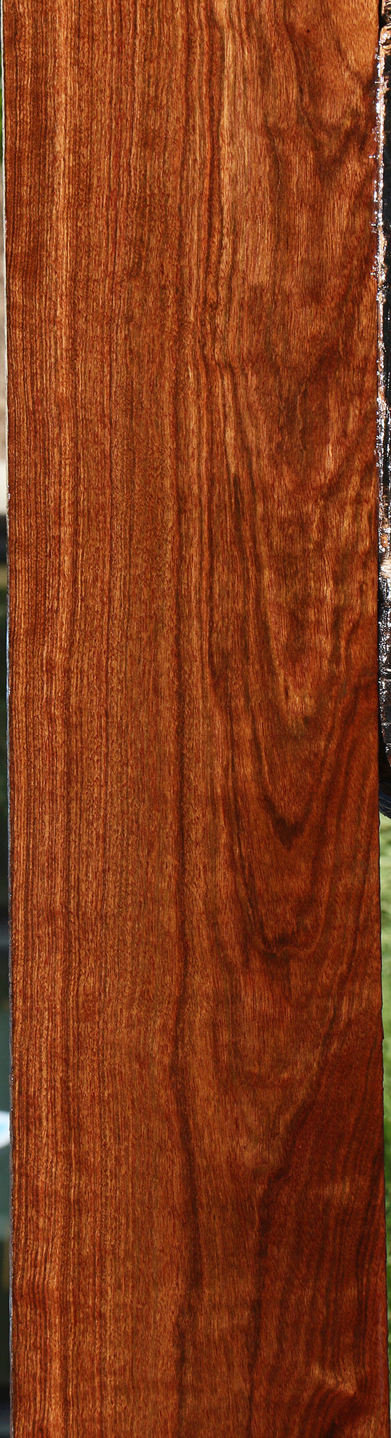Chechen Lumber