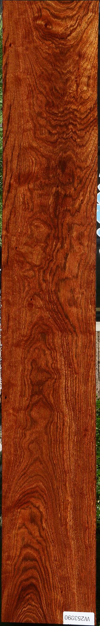 Extra Fancy Chechen Micro Lumber