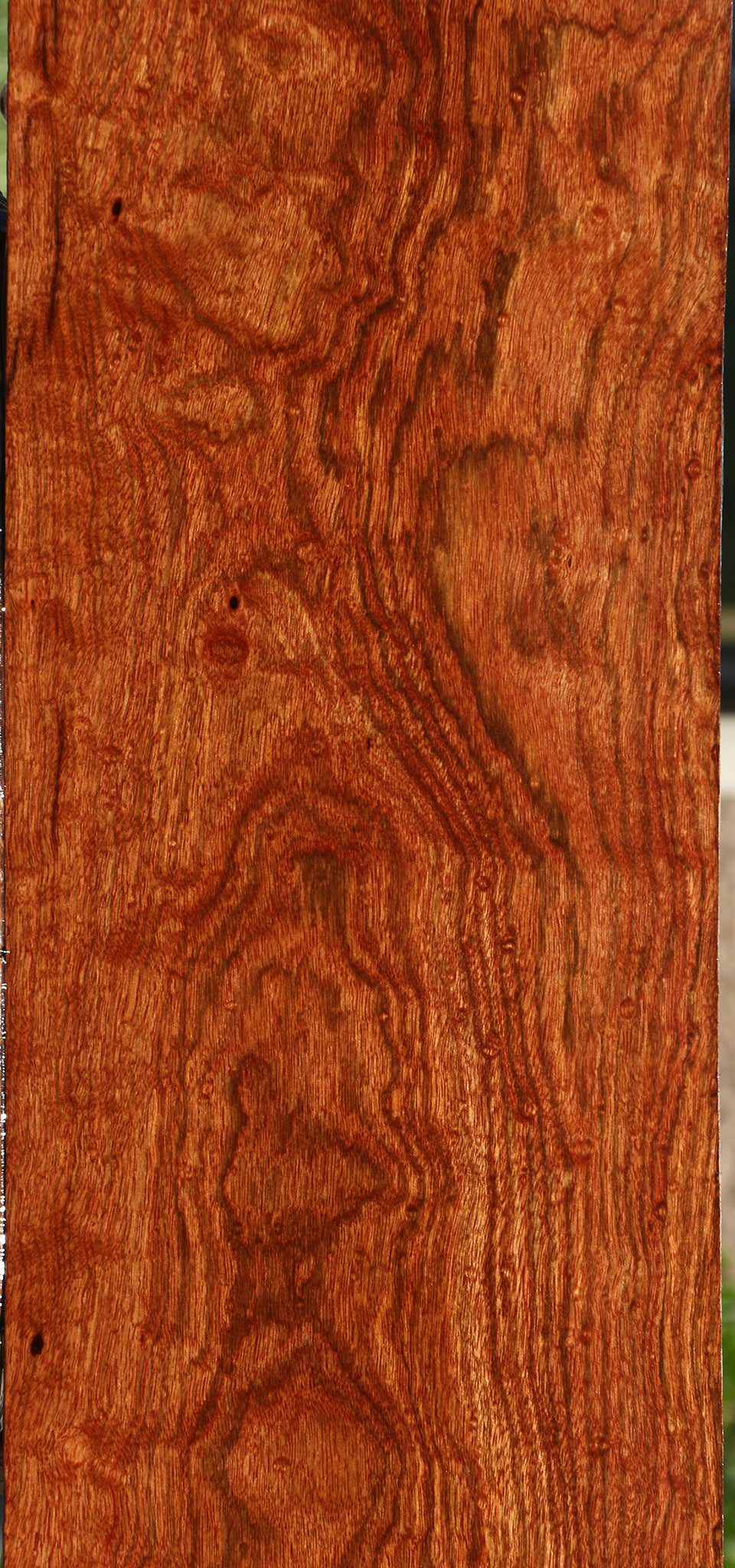 Extra Fancy Chechen Micro Lumber