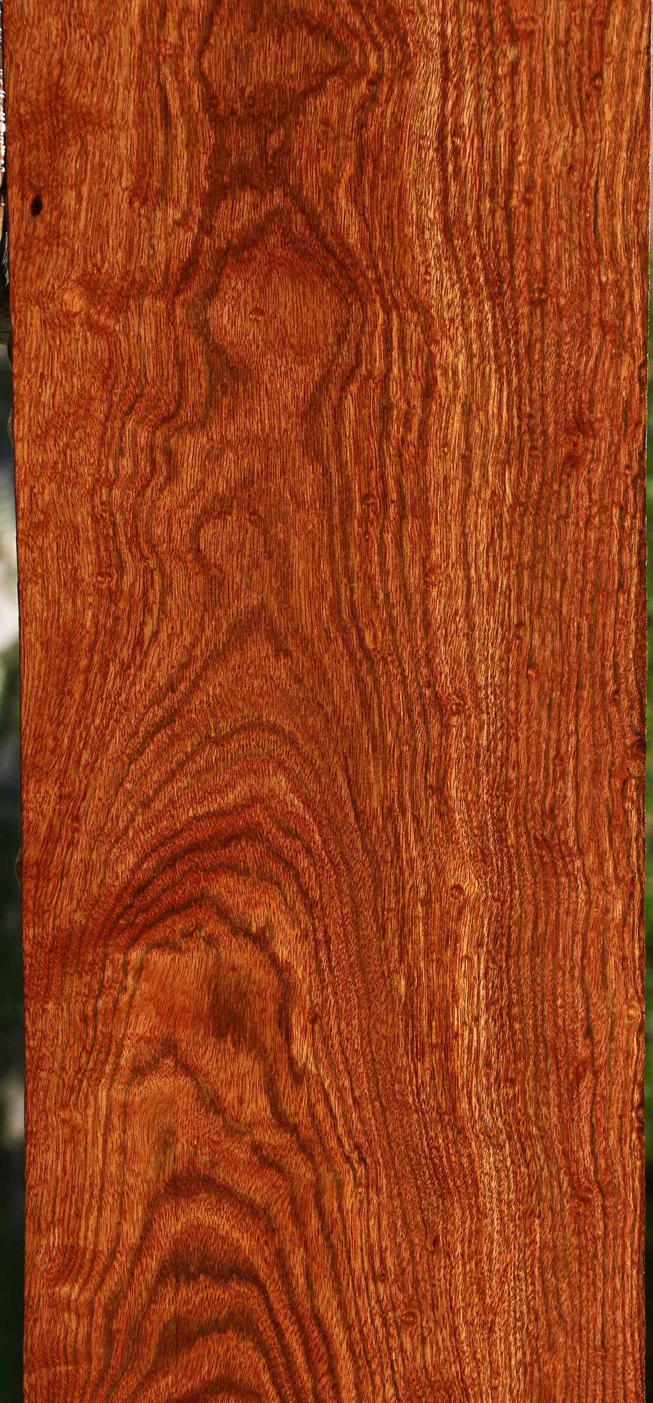 Extra Fancy Chechen Micro Lumber
