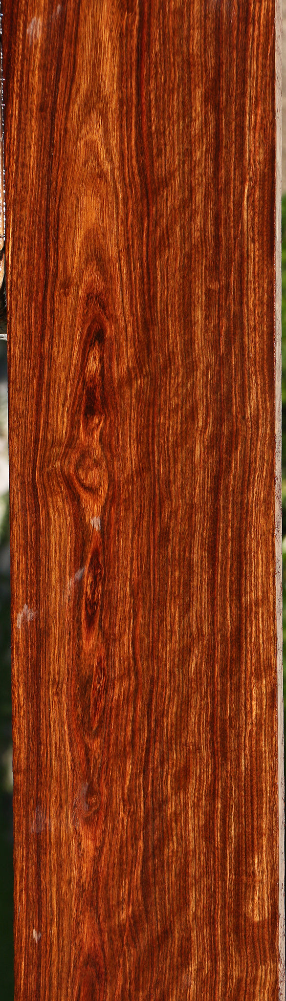 Extra Fancy Chechen Lumber