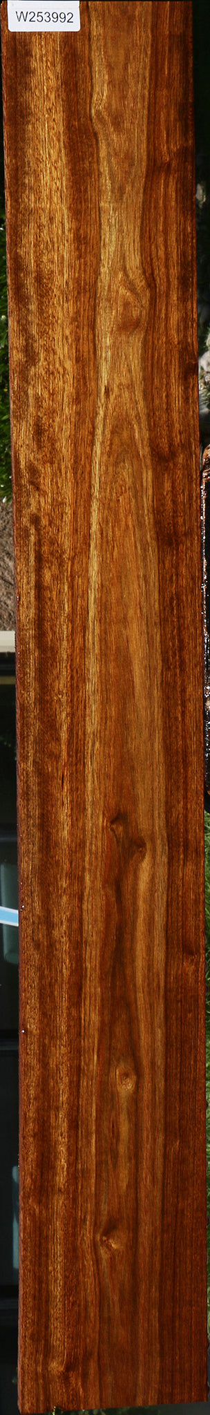 Chechen Lumber