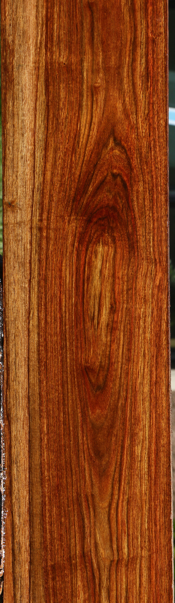 Chechen Lumber