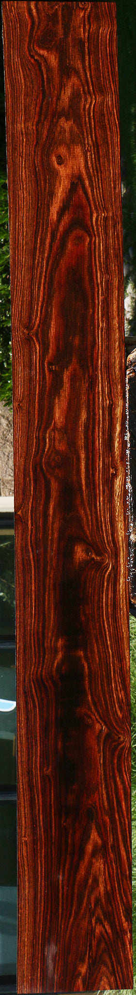 Figured Chechen Lumber
