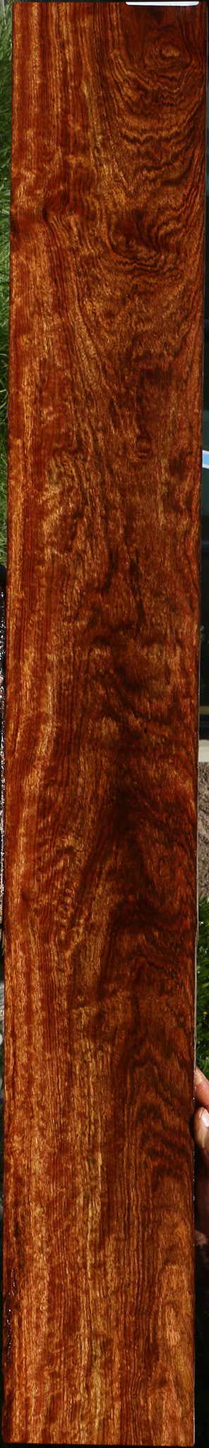 Exhibition Chechen Micro Lumber