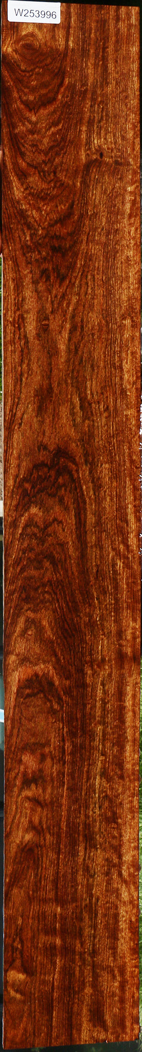 Exhibition Chechen Micro Lumber