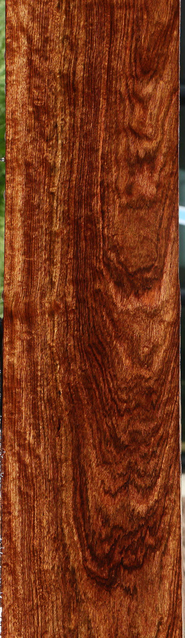 Exhibition Chechen Micro Lumber