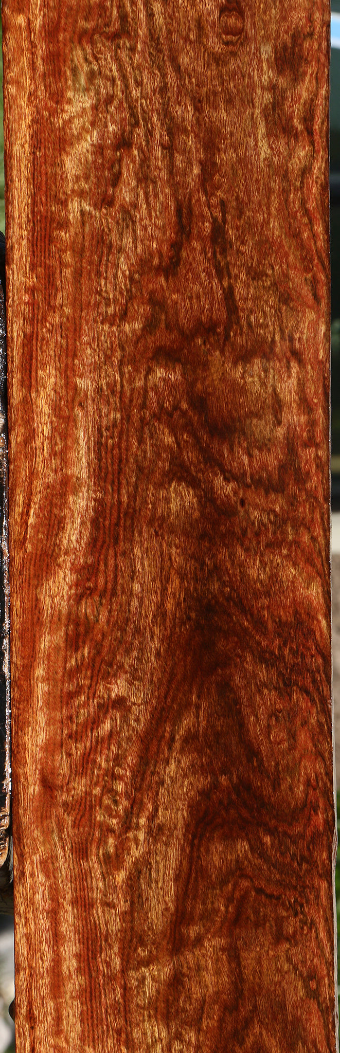 Exhibition Chechen Micro Lumber