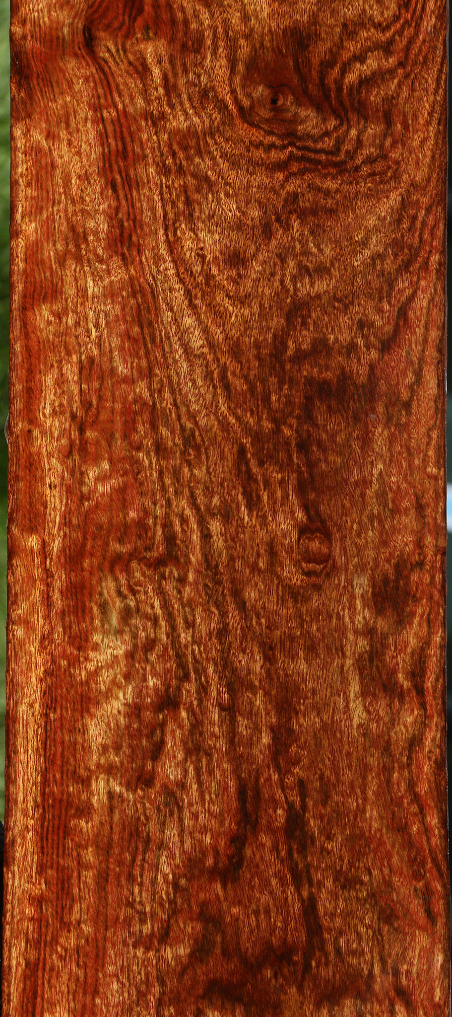 Exhibition Chechen Micro Lumber