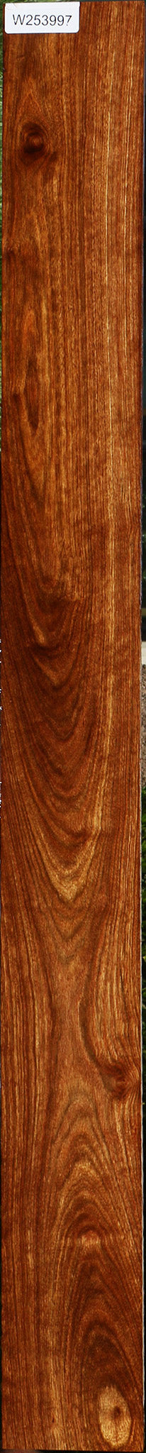 Chechen Lumber