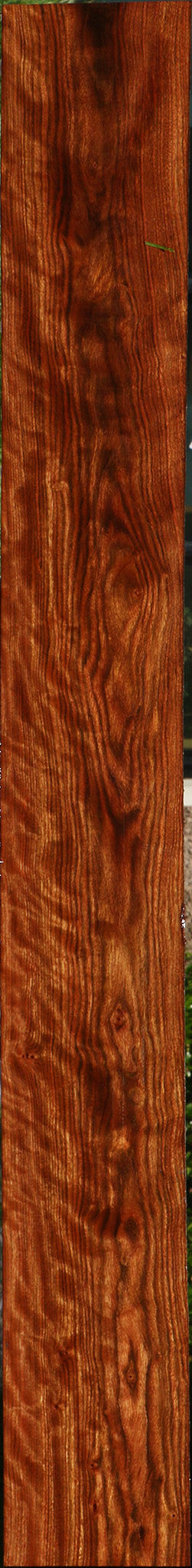 Extra Fancy Chechen Lumber