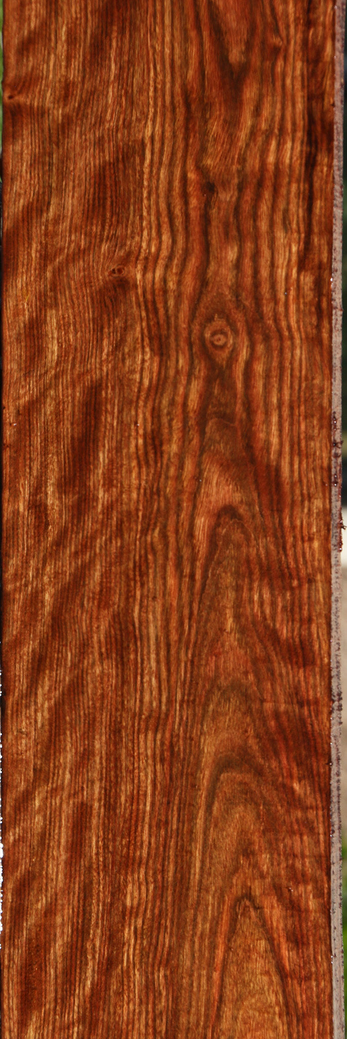 Extra Fancy Chechen Lumber