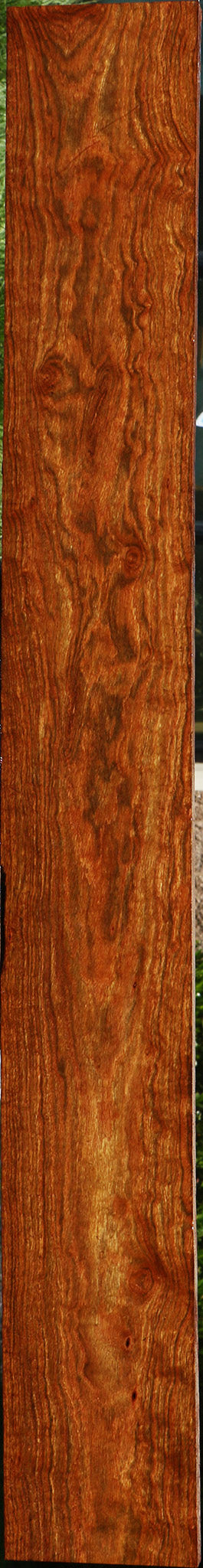 Exhibition Chechen Lumber