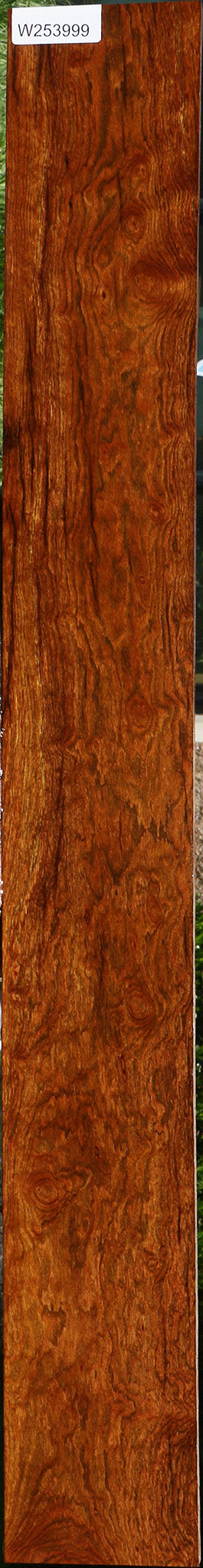 Exhibition Chechen Lumber
