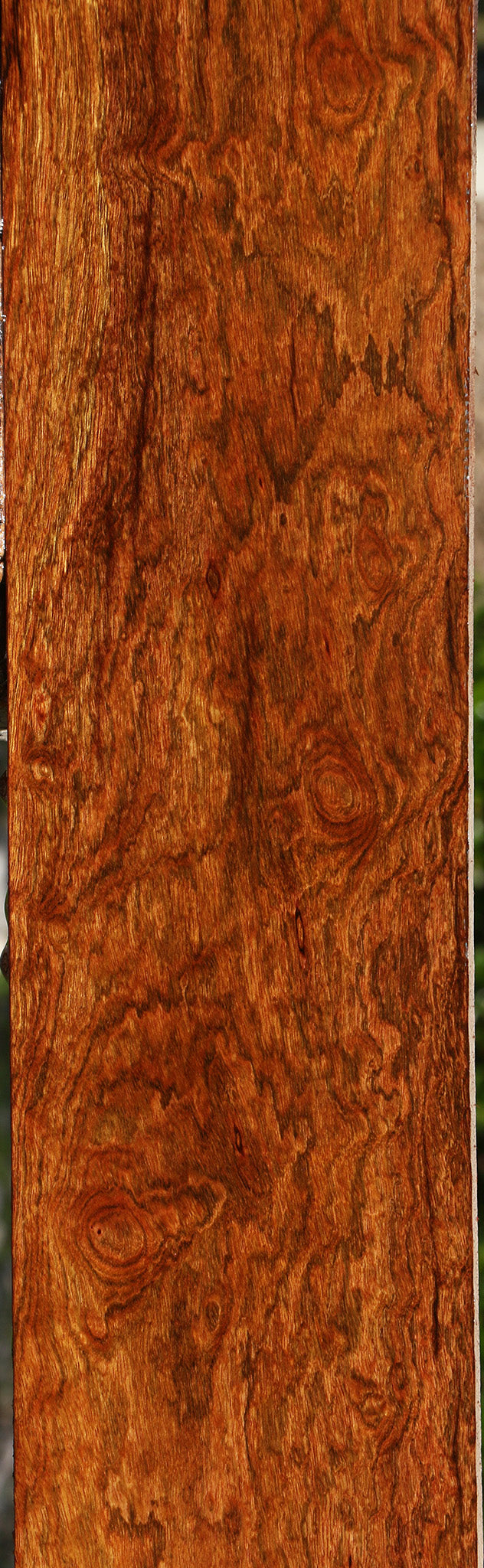 Exhibition Chechen Lumber