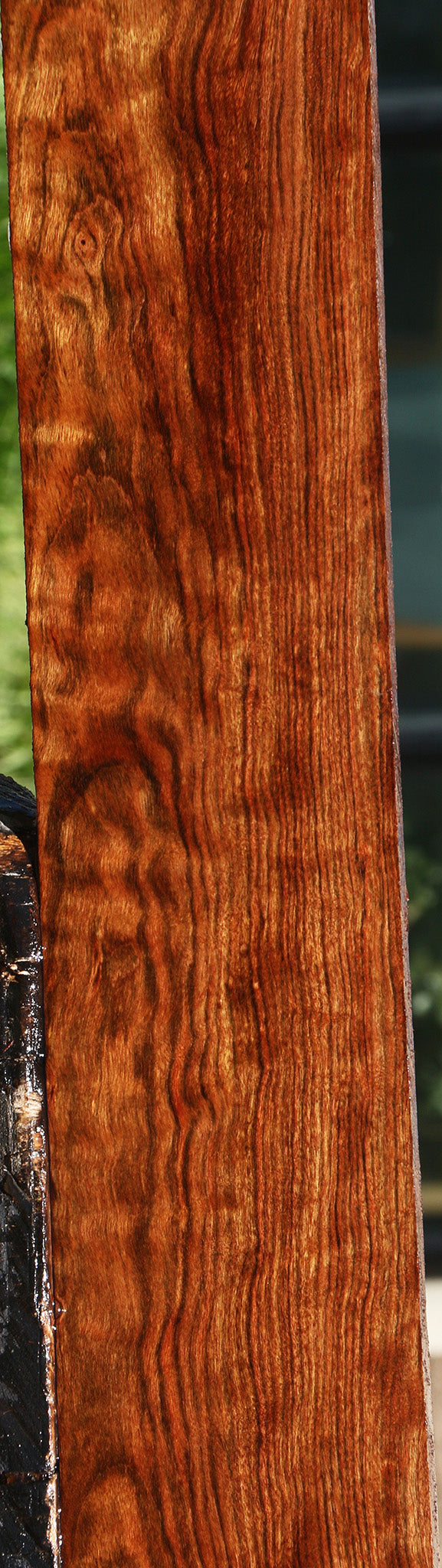 Extra Fancy Chechen Lumber