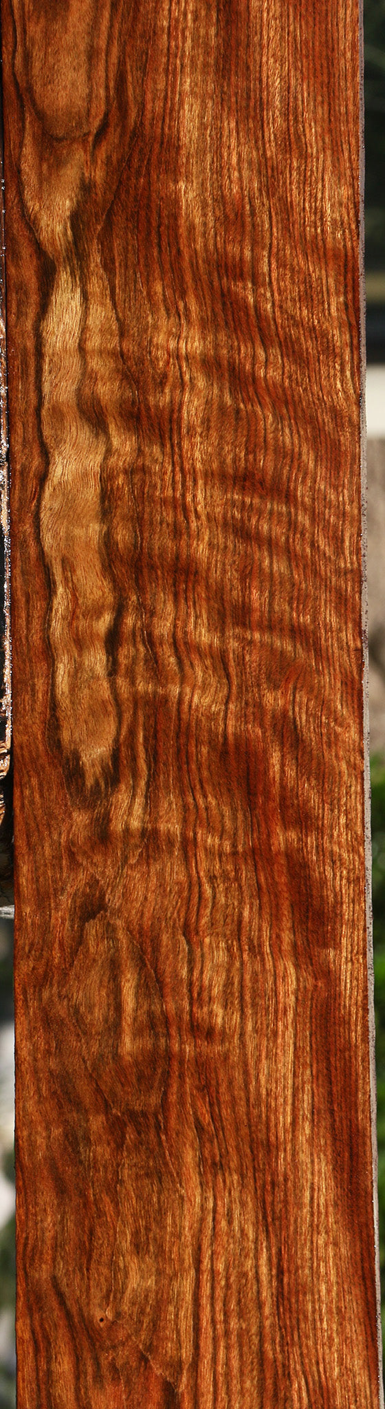 Extra Fancy Chechen Lumber