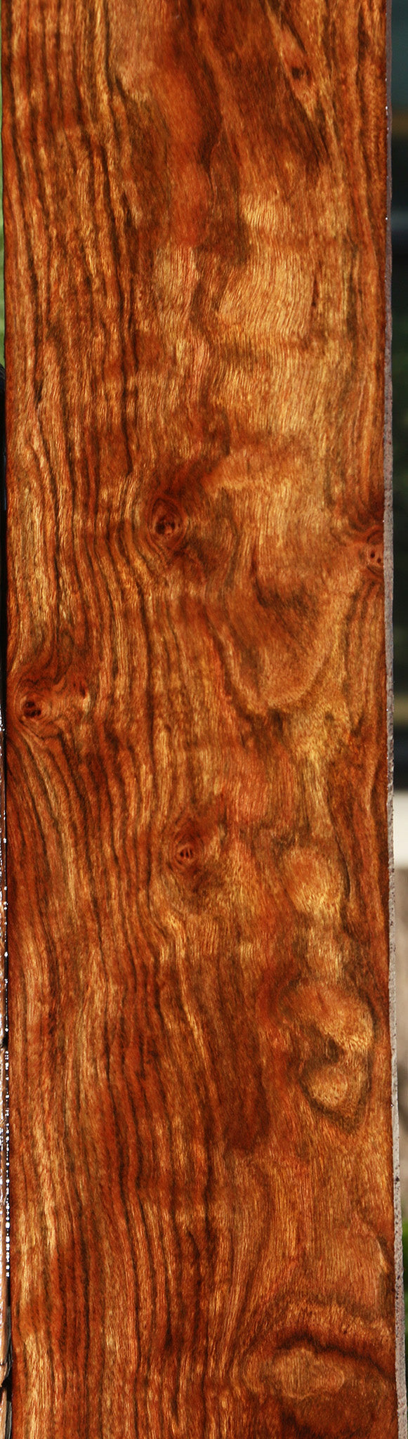 Extra Fancy Chechen Lumber