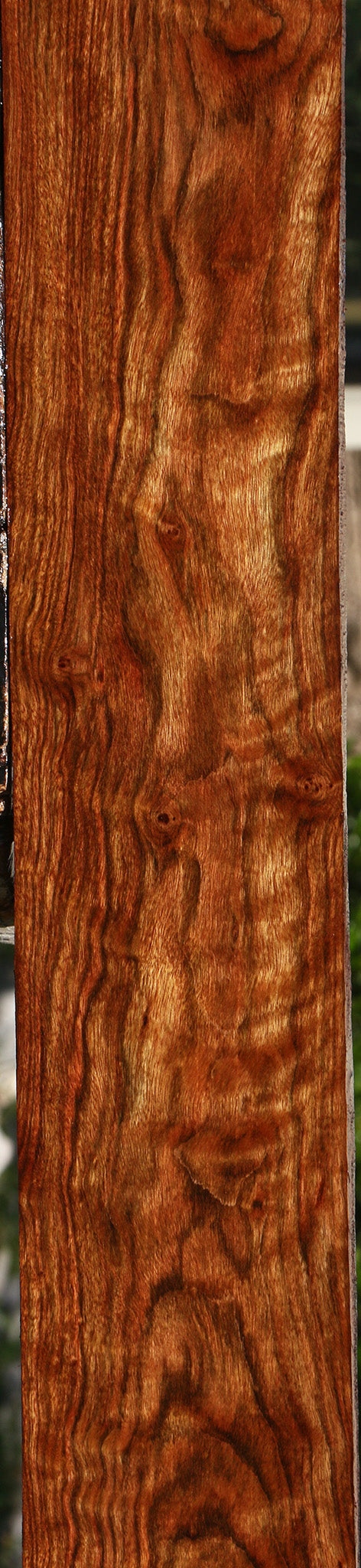 Extra Fancy Chechen Lumber