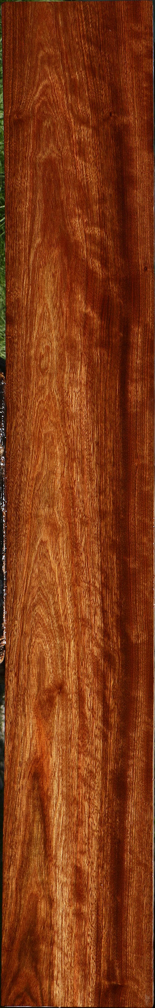 Figured Chechen Lumber