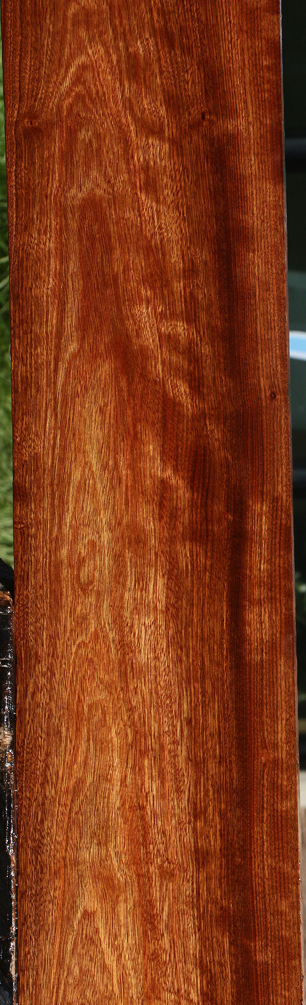 Figured Chechen Lumber