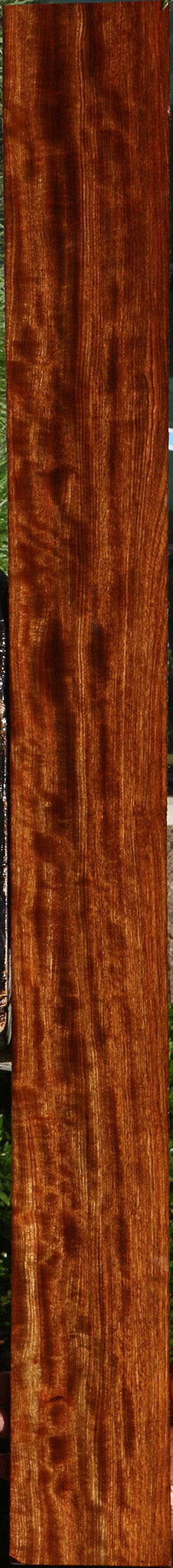 Extra Fancy Chechen Lumber
