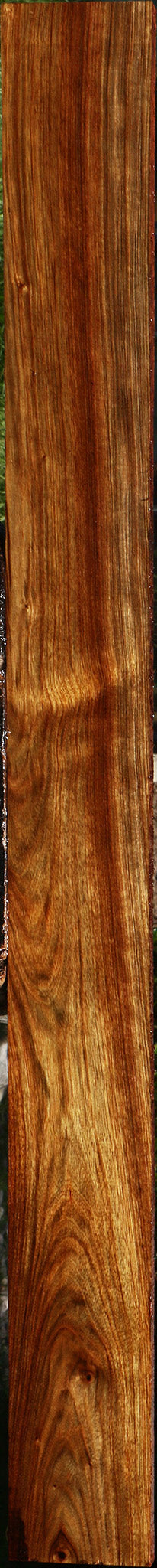 Chechen Lumber