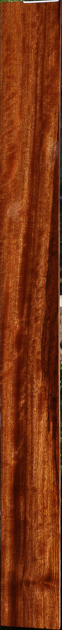 Figured Chechen Lumber