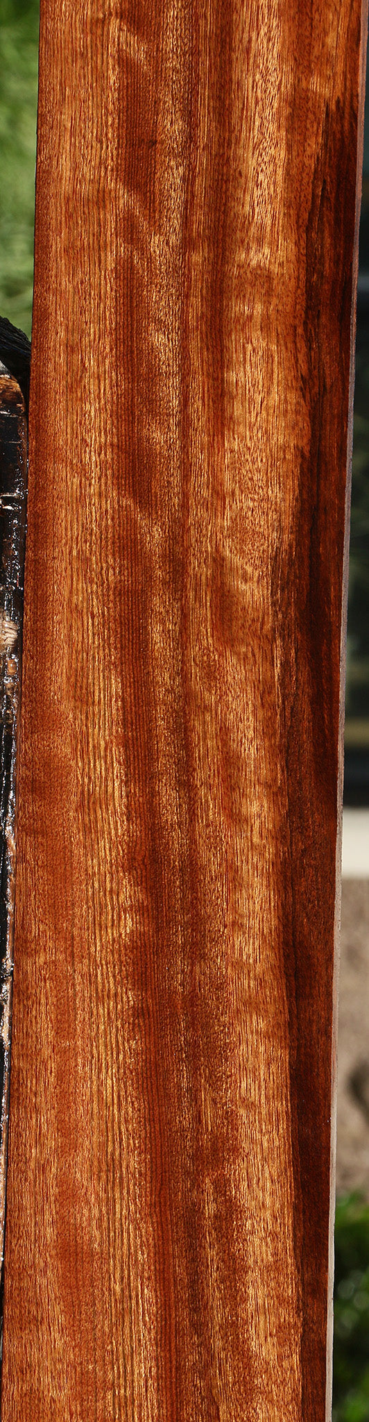 Figured Chechen Lumber