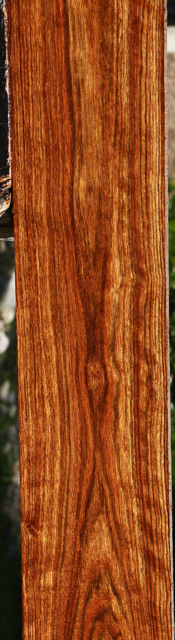 Figured Chechen Lumber