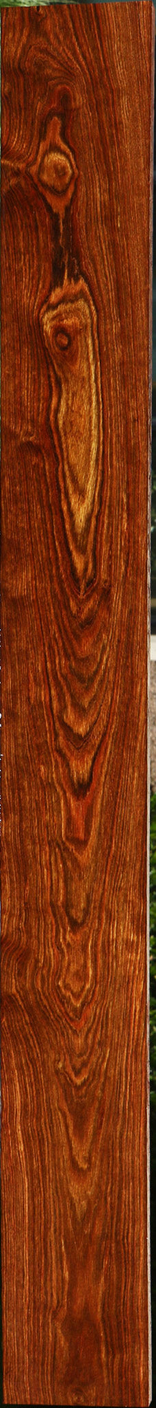 Chechen Lumber
