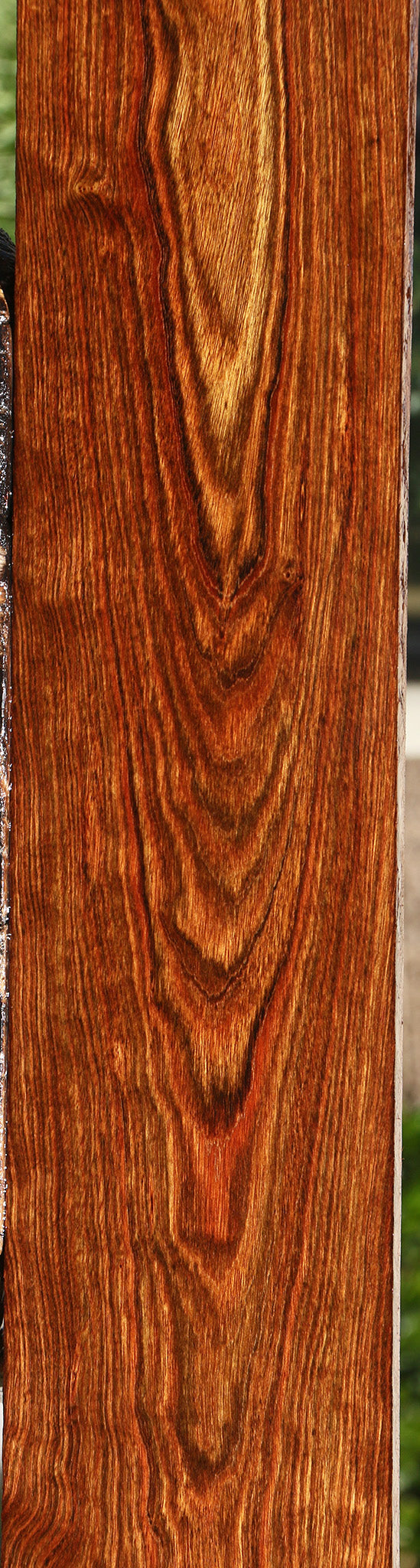 Chechen Lumber