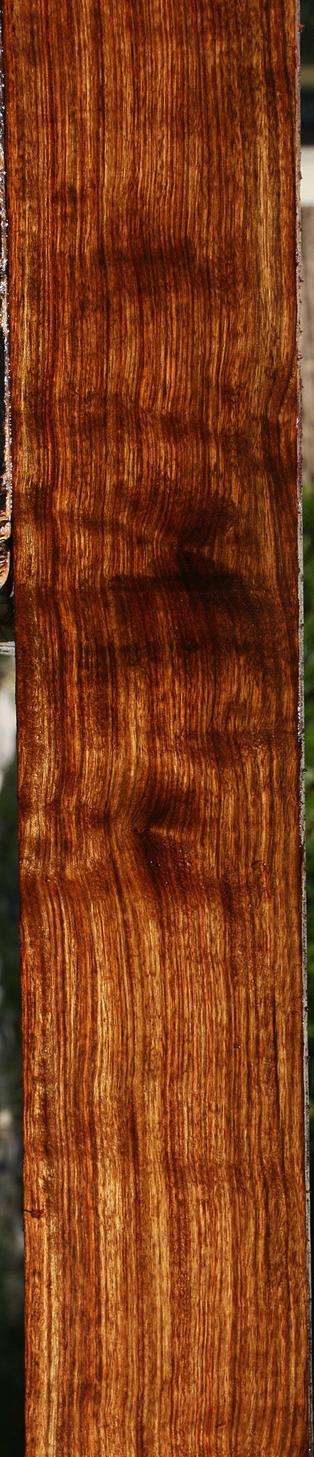 Extra Fancy Chechen Lumber