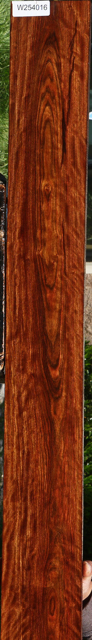 Extra Fancy Chechen Lumber