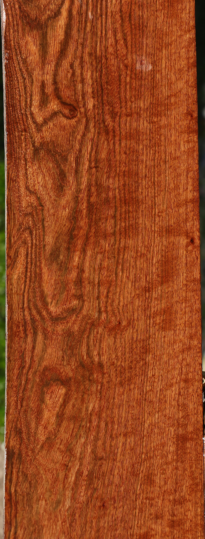 Extra Fancy Chechen Lumber