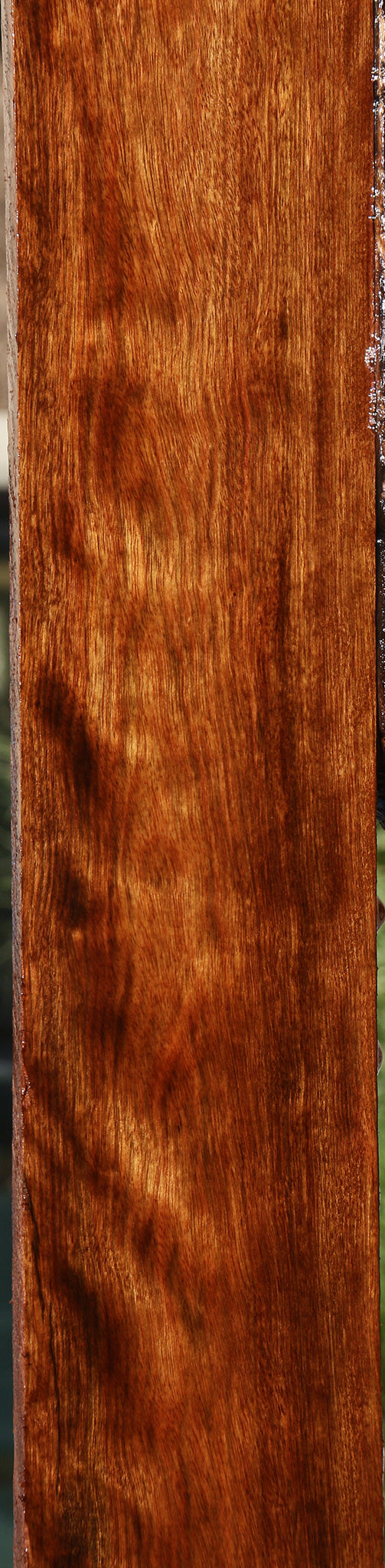 Figured Chechen Lumber