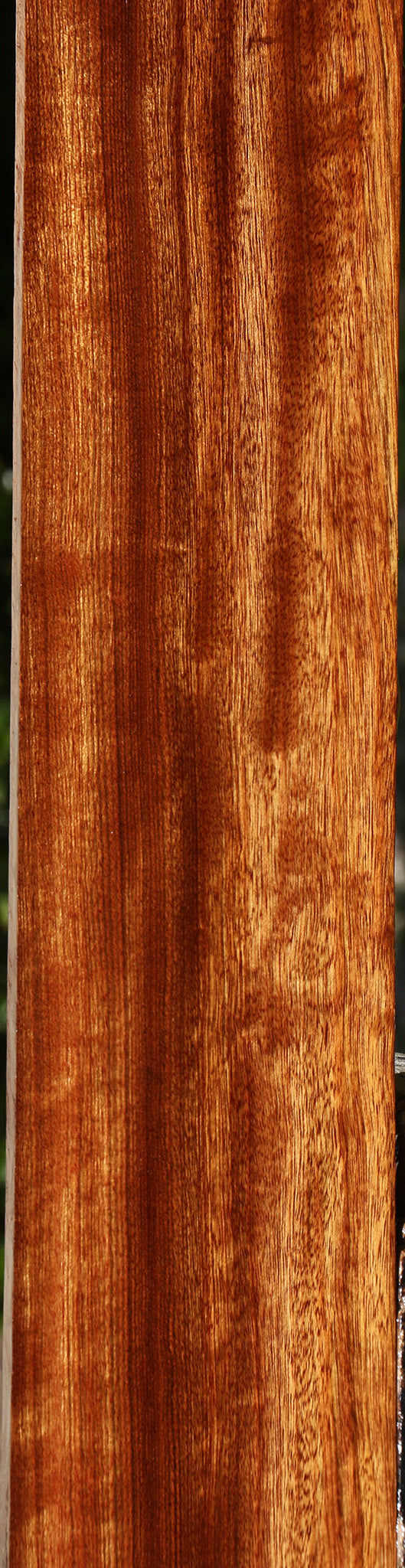 Figured Chechen Lumber