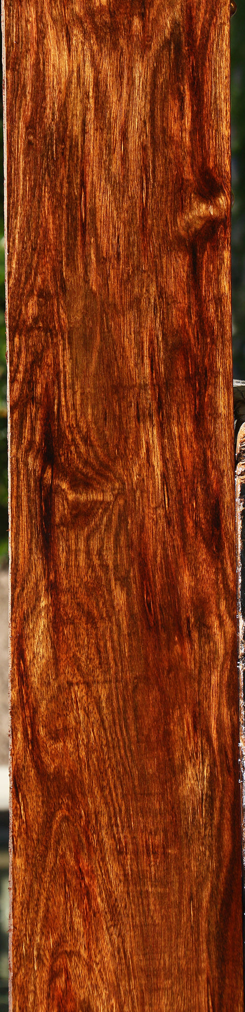 Figured Chechen Lumber