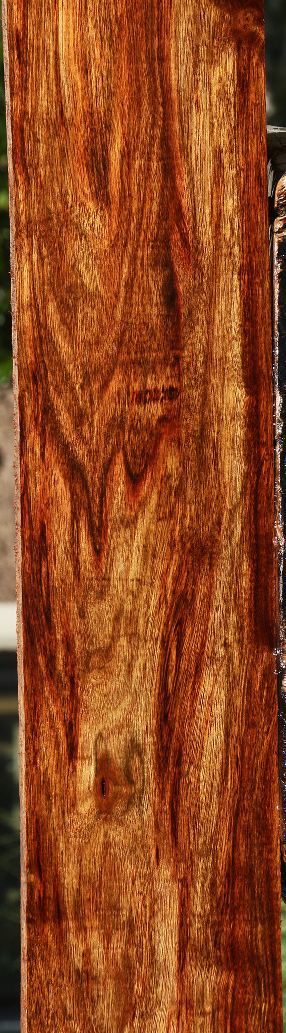 Figured Chechen Lumber