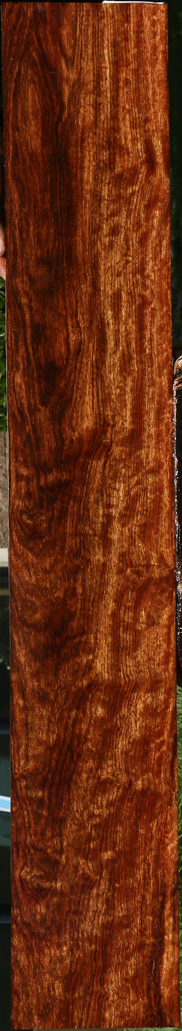 Extra Fancy Chechen Micro Lumber