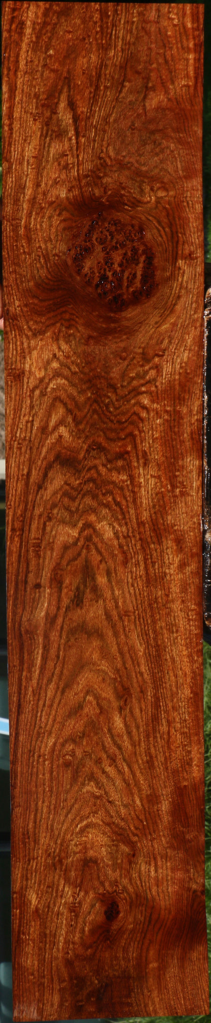 Exhibition Chechen Lumber